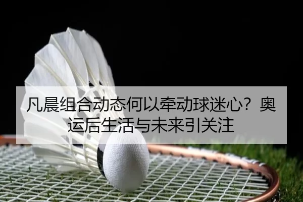 凡晨组合动态何以牵动球迷心？奥运后生活与未来引关注